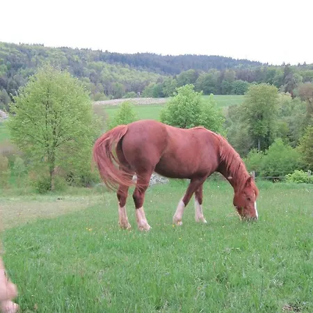 Dom wakacyjny Bergfeldhof Haingrund