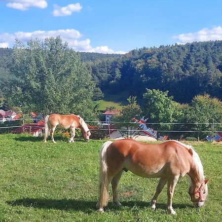 Dom wakacyjny Bergfeldhof
