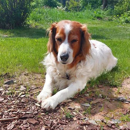 Сasa de vacaciones Bergfeldhof *