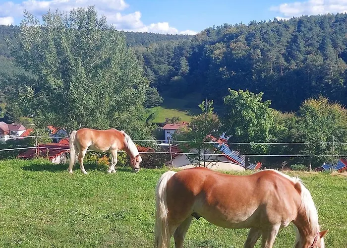 Casa vacanze Bergfeldhof