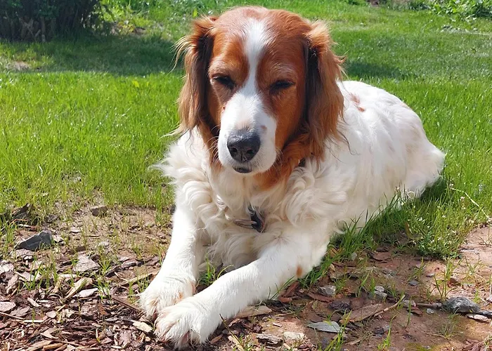 Casa vacanze Bergfeldhof *